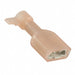0190030005 by Molex - CONNECTOR QC RCPT 18-22AWG 0.250
