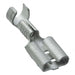 1-160304-2 by TE Connectivity AMP Connectors - CONNECTOR QC RCPT 13.5-17AWG 0.250