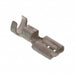 1-160305-6 by TE Connectivity AMP Connectors - .250 FASTON REC.