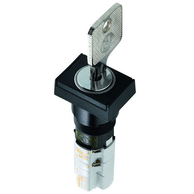 1.15.108.631/0100 by RAFI USA - SWITCH KEYLOCK 2POS DPST 4A 250V
