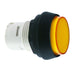 1.30.070.571/0000 by RAFI USA - CONFIG SW BODY PUSHBUTTON ILLUM