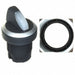 1.30.242.302/2200 by RAFI USA - CONFIG SW BODY SELECTOR ILLUM