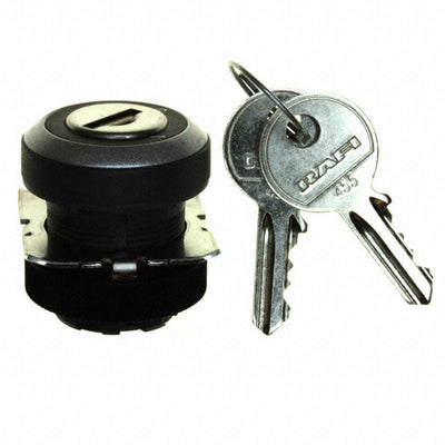 1.30.245.322/0000 by RAFI USA - CONFIG SW BODY KEYLOCK NON-ILLUM