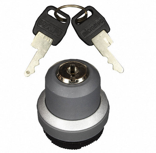 1.30255.1020000 by RAFI USA - CONFIG SW BODY KEYLOCK NON-ILLUM