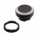 1.30.270.100/2201 by RAFI USA - RAFIX 22 FS+ PUSHBUTTON BK
