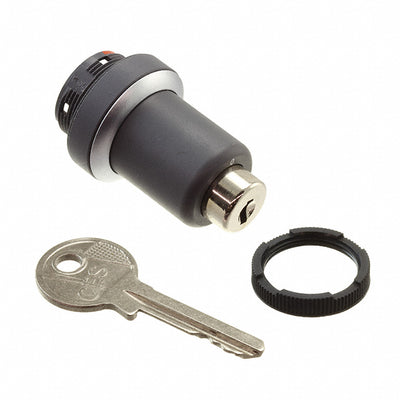 1.30275.9010000 by RAFI USA - KEY LOCK SWITCH SSG10