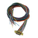M83513/03-C04C by ITT Cannon, LLC - CABLE DSUB PLUG 21POS LEADS 36