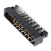 10106262-7006001LF by Amphenol ICC (FCI) - CONNECTOR HDR BLADE PWR 31POS EDGE MT