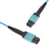 1062250103 by Molex - MPO(F) - MPO(F) TRUNK CBL, OM3 1