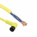 1200651726 by Molex - CABLE 5POS MALE TO WIRE 13.12