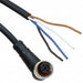 1200060024 by Molex - CABLE 5POS FMALE TO WIRE 6.56