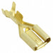 1217094-1 by TE Connectivity AMP Connectors - CONNECTOR QC RCPT 14-18AWG 0.250