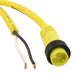 1300060159 by Molex - CABLE 2POS MALE TO WIRE 6