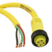 1300060725 by Molex - CABLE 4POS FMALE TO WIRE 3