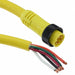 1300061447 by Molex - CABLE 5POS MALE TO WIRE 12