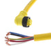 1300061656 by Molex - CABLE 6POS FMALE TO WIRE 12