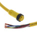 1300070033 by Molex - CABLE 6POS FMALE TO WIRE 35