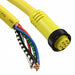 1300070080 by Molex - CABLE 7POS FMALE TO WIRE 20