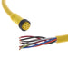 1300070145 by Molex - CABLE 8POS FMALE TO WIRE 12