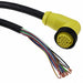 1300080315 by Molex - CABLE 19POS FMALE TO WIRE 16.4