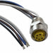 1300130433 by Molex - CABLE 5POS FMALE TO WIRE 6.56