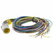 1300150112 by Molex - CABLE CIRC 19P MALE TO WIRE 6.56