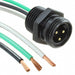 1300660050 by Molex - CABLE 3POS MALE TO WIRE 1.64