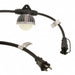 1301110100 by Molex - STRING LIGHT WET 125V 14W 100