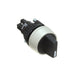 14-506.0250 by EAO - SWITCH SELECT 2POS DPST 5A 250V