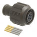 MKJ1A6W6-4SA by ITT Cannon, LLC - CONNECTOR PLUG FMALE 4POS GOLD CRIMP