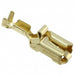 160759-1 by TE Connectivity AMP Connectors - CONNECTOR QC RCPT 16-20AWG 0.250