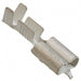 160927-2 by TE Connectivity AMP Connectors - CONNECTOR QC RCPT 13.5-17AWG 0.250