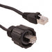 17-10006 by Conec - CABLE MOD 8P8C PLUG-PLUG 6.56