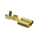 170032-1 by TE Connectivity AMP Connectors - CONNECTOR QC RCPT 14-20AWG 0.250
