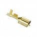 170032-2 by TE Connectivity AMP Connectors - CONNECTOR QC RCPT 14-20AWG 0.250