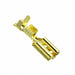 170037-1 by TE Connectivity AMP Connectors - CONNECTOR QC RCPT 16-20AWG 0.187