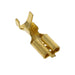 170179-1 by TE Connectivity AMP Connectors - CONNECTOR QC RCPT 14-18AWG 0.205