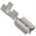170213-2 by TE Connectivity AMP Connectors - CONNECTOR QC RCPT 14-18AWG 0.250