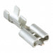 170213-3 by TE Connectivity AMP Connectors - CONNECTOR QC RCPT 14-18AWG 0.250