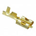 170342-1 by TE Connectivity AMP Connectors - CONNECTOR QC RCPT 14-20AWG 0.250