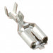 179974-6 by TE Connectivity AMP Connectors - CONNECTOR QC RCPT 14-18AWG 0.250