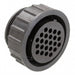 183073-1 by TE Connectivity AMP Connectors - CONNECTOR PLG HSG FMALE 24POS INLINE
