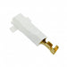 1969104-1 by TE Connectivity AMP Connectors - CONNECTOR QC RCPT 14-18AWG 0.250