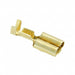 1989879-1 by TE Connectivity AMP Connectors - CONNECTOR QC RCPT 17-22AWG 0.250