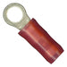 2-36149-4 by TE Connectivity AMP Connectors - CONNECTOR RING CIRC 20AWG #6 CRIMP