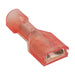 2-520181-2 by TE Connectivity AMP Connectors - CONNECTOR QC RCPT 18-22AWG 0.187