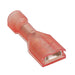 2-520193-2 by TE Connectivity AMP Connectors - CONNECTOR QC RCPT 18-22AWG 0.187