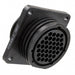 206306-3 by TE Connectivity AMP Connectors - CONNECTOR RECPT HSG FMALE 37POS PNL MT