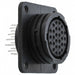 207216-8 by TE Connectivity AMP Connectors - CONNECTOR RECPT FMALE 28POS GOLD SLDR