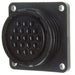 211773-1 by TE Connectivity AMP Connectors - CONNECTOR RECPT HSG FMALE 19POS PNL MT